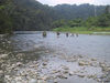 Crossing_3.jpg