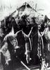 Filename=thylacine_6.jpg
Filesize=62KB
Dimensions=429x600
Date added=May 09, 2009 thylacine_6.jpg