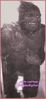 Filename=almasty-full-bw1csj.jpg
Filesize=76KB
Dimensions=435x933
Date added=Apr 07, 2007 almasty-full-bw1csj.jpg