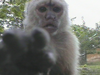 Filename=Grabbed_Frame_15.bmp
Filesize=900KB
Dimensions=640x480
Date added=Jul 14, 2010 Grabbed_Frame_15.bmp