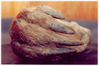 Filename=Mystery_Hand.jpg
Filesize=66KB
Dimensions=455x304
Date added=Jul 08, 2010 Mystery_Hand.jpg