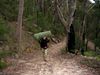 Filename=Windbourne_6_2.jpg
Filesize=535KiB
Dimensions=757x568
Date added=Jul 08, 2010 Windbourne_6_2.jpg
