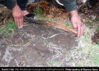 Filename=footprint_2.gif
Filesize=199KB
Dimensions=576x414
Date added=May 19, 2007 footprint_2.gif
