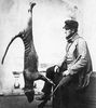 Filename=thylacine_8.jpg
Filesize=37KB
Dimensions=468x525
Date added=Jul 12, 2010 thylacine_8.jpg